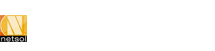 netsolitsolution